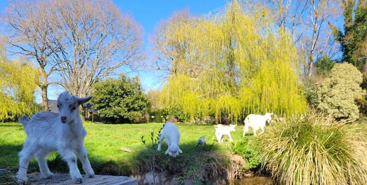 LandévantLe Domaine Des Sources住宿加早餐旅馆 法国